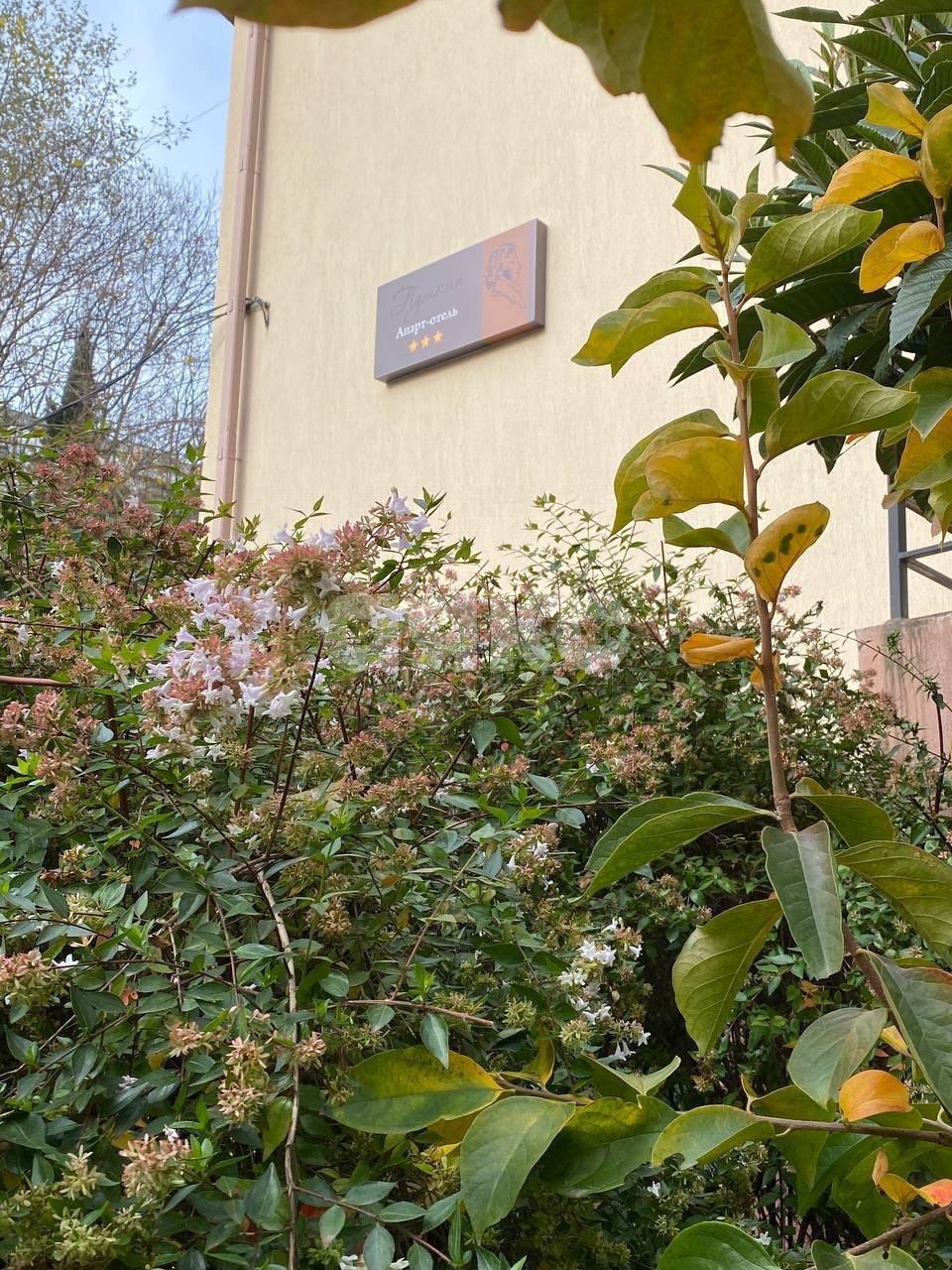 Фото №13: Студия 18 м² - Сочи, Центральный, мкр. Новый Сочи, ул. Пирогова, 10/12