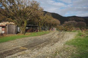 Фото №5: Земельный участок 10.11 сот. - Малый Утриш, ул. Малоутришская