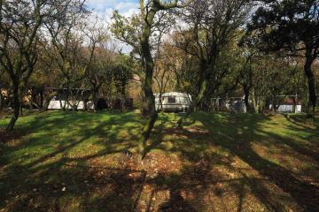 Фото №3: Земельный участок 10.11 сот. - Малый Утриш, ул. Малоутришская