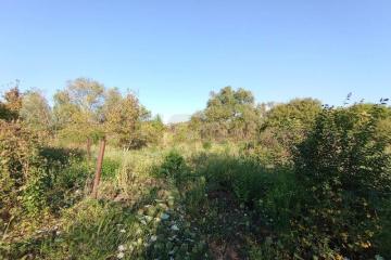 Фото №2: Земельный участок 6 сот. - Елизаветинская, ст Стекольщик, ул. Персиковая, 46