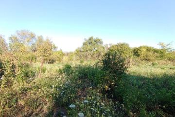 Фото №4: Земельный участок 7.5 сот. - Елизаветинская, ст Стекольщик, ул. Персиковая, 31