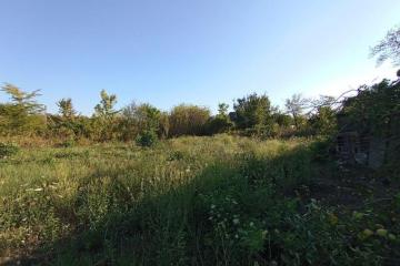 Фото №5: Земельный участок 7.5 сот. - Елизаветинская, ст Стекольщик, ул. Персиковая, 31