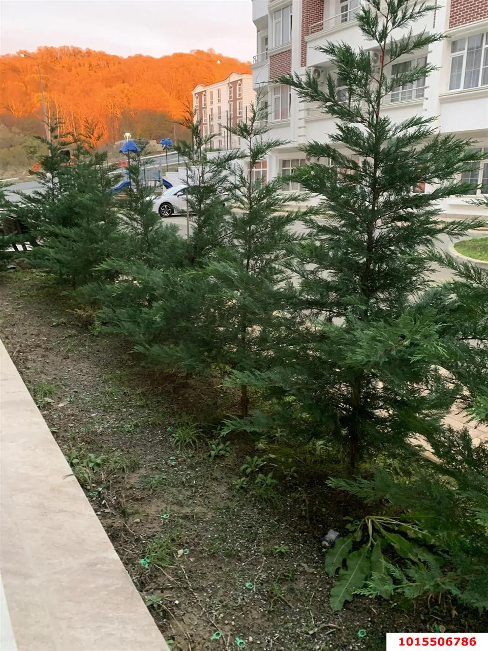 Фото №11: Студия 25 м² - Сочи, Адлерский, Адлер, мкр. жилой комплекс Курортный, ул. Ленина, 290/7к5