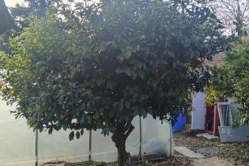 Фото №3: Дом 71 м² - Верхнениколаевское, р. Адлерский, ул. Мостовая