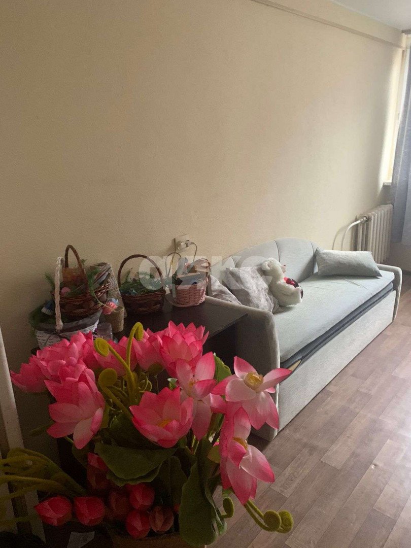 Фото №1: Студия 18 м² - Сочи, Центральный, мкр. Донская, ул. Гранатная, 8