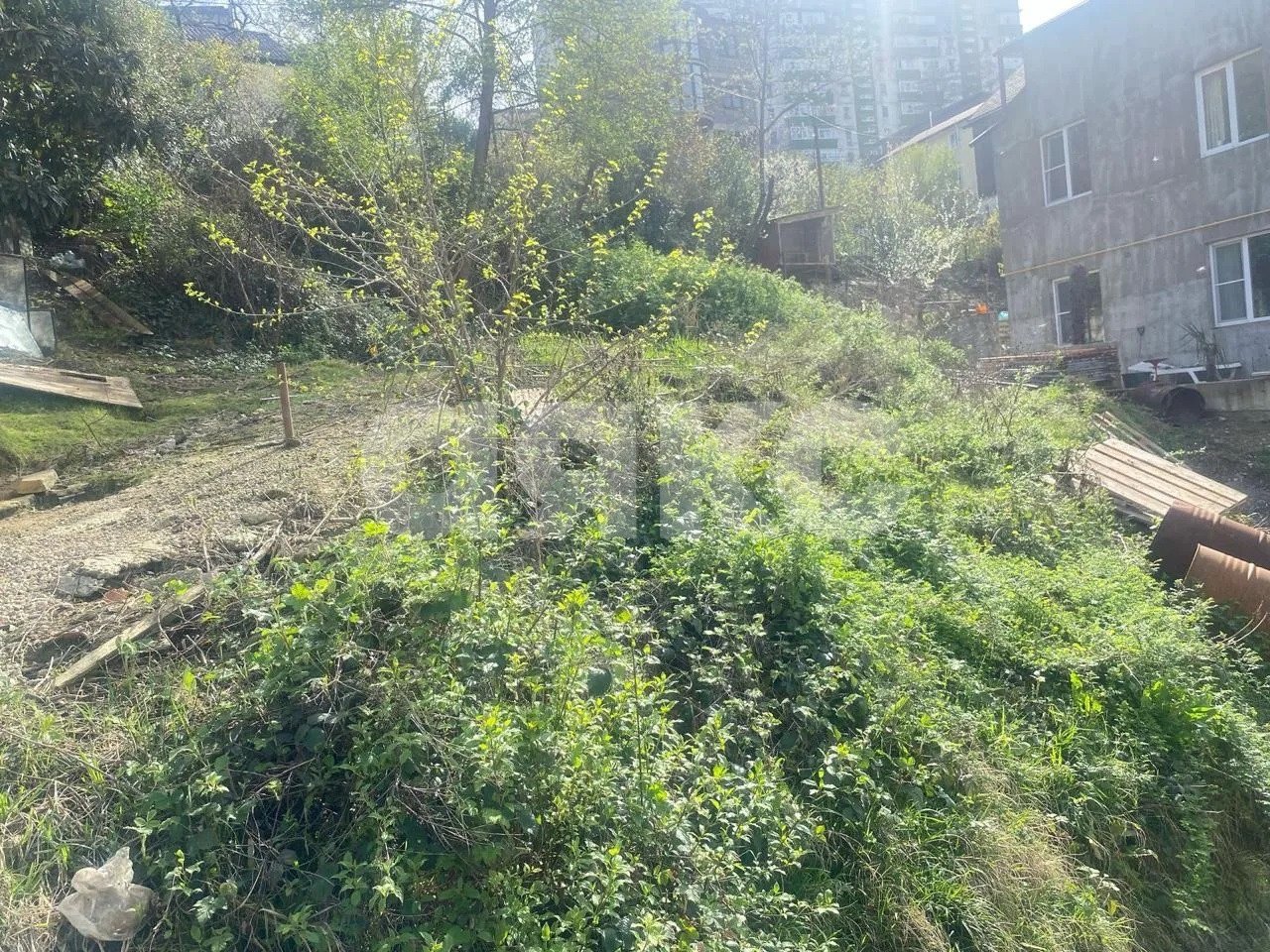 Фото №2: Участок садоводство 4.9 сот. - Сочи, Центральный, мкр. СНТ Альянс, пер. Амбулаторный, 38