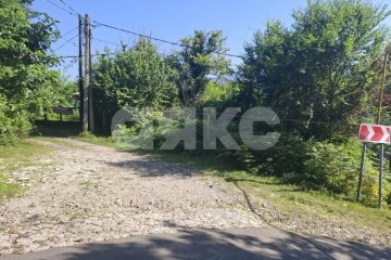 Фото №5: Личное подсобное хозяйство - Прогресс, р. Хостинский, ул. Урожайная