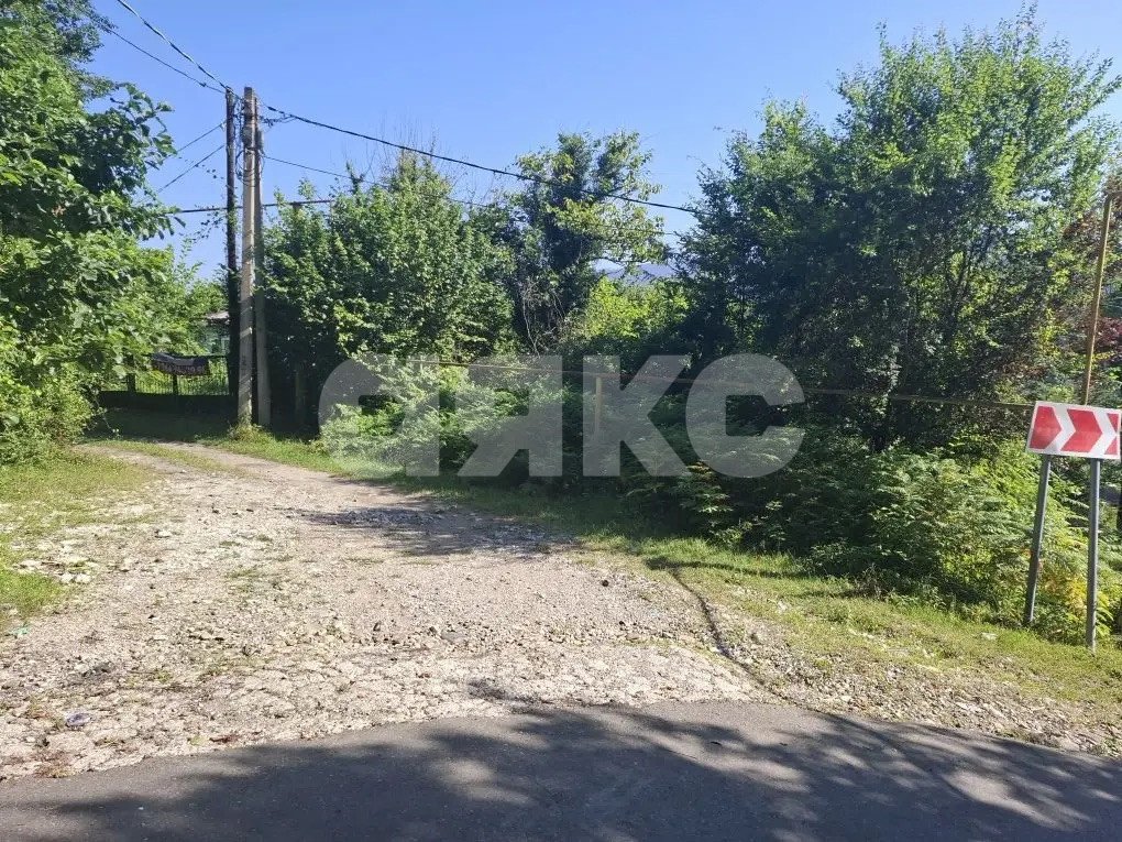 Фото №5: Личное подсобное хозяйство 8.47 сот. - Прогресс, р. Хостинский, ул. Урожайная