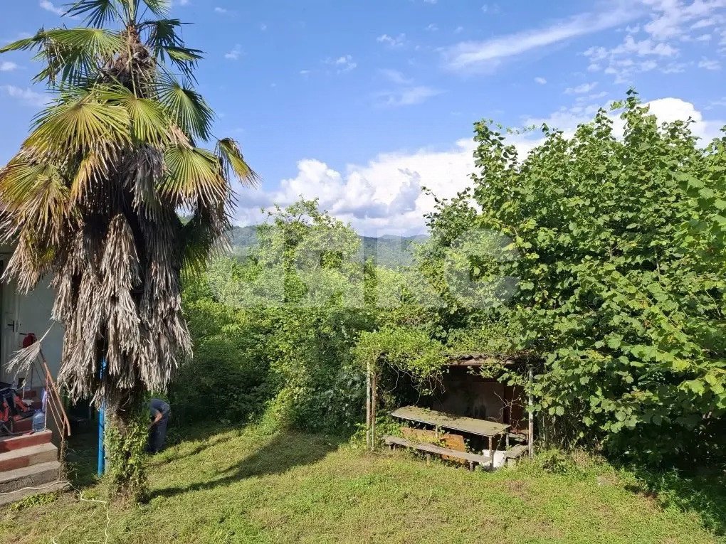 Фото №7: Личное подсобное хозяйство 8.47 сот. - Прогресс, р. Хостинский, ул. Урожайная