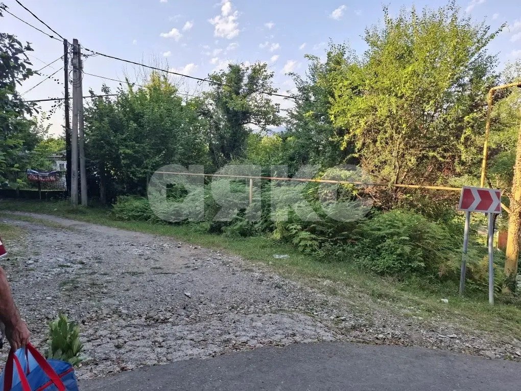 Фото №8: Личное подсобное хозяйство 8.47 сот. - Прогресс, р. Хостинский, ул. Урожайная