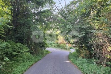 Фото №4: Личное подсобное хозяйство - Прогресс, р. Хостинский, ул. Урожайная