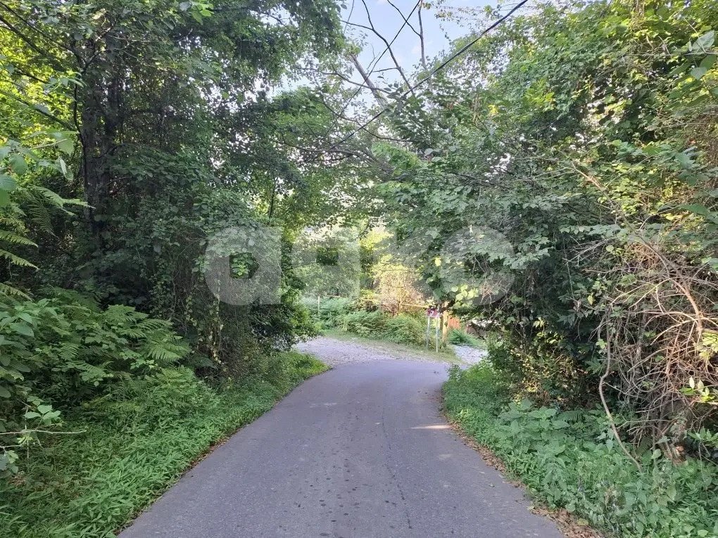 Фото №4: Личное подсобное хозяйство 8.47 сот. - Прогресс, р. Хостинский, ул. Урожайная