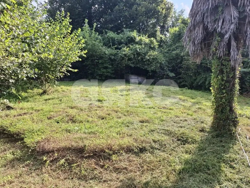 Фото №3: Личное подсобное хозяйство 8.47 сот. - Прогресс, р. Хостинский, ул. Урожайная