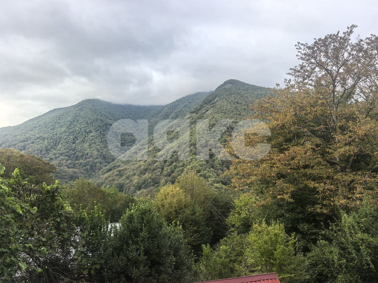 Фото №25: Дом 120 м² + 9.3 сот. - Алексеевское, Лазаревский, мкр. СТ Дружба-2, 47