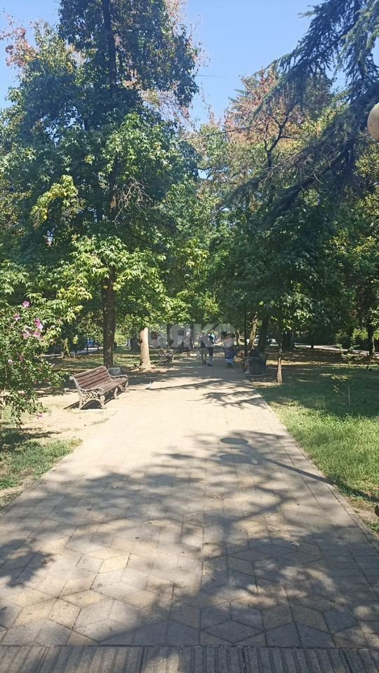 Фото №17: 2-комнатная квартира 47 м² - Сочи, Центральный, мкр. Гагарина, ул. Гагарина, 38