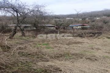 Фото №1: Личное подсобное хозяйство - Сочи, п. Лоо, пер. Разина, 18