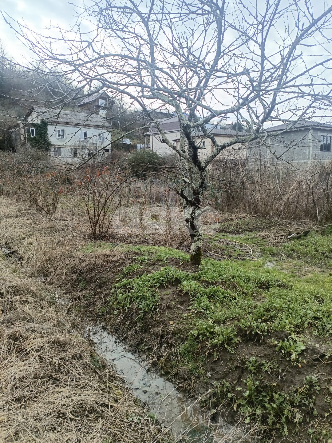 Фото №3: Личное подсобное хозяйство 10 сот. - Сочи, Лазаревский, п. Лоо, пер. Разина, 18