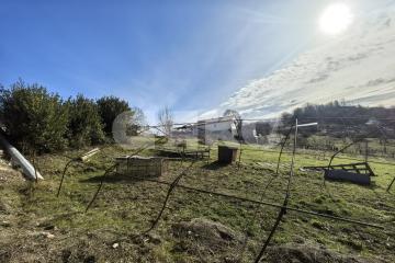 Фото №1: Личное подсобное хозяйство - Горное Лоо, р. Лазаревский, 