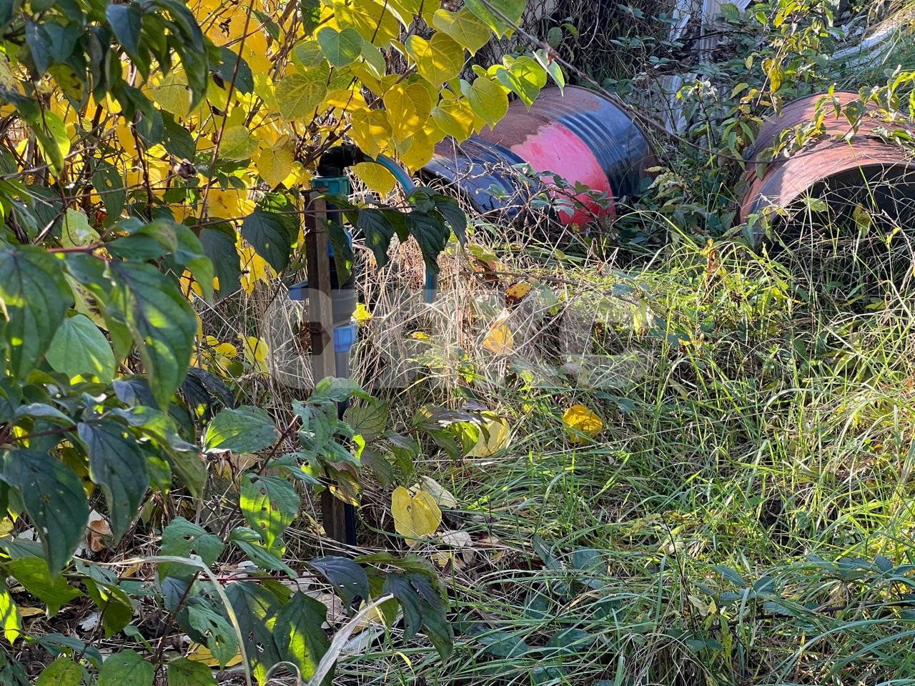 Фото №6: Участок садоводство 4.96 сот. - Галицыно, Адлерский, мкр. СТ Пчеловод, 19