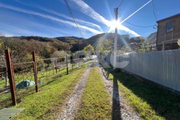 Фото №2: Участок садоводство - Галицыно, мкр. СТ Пчеловод, 19