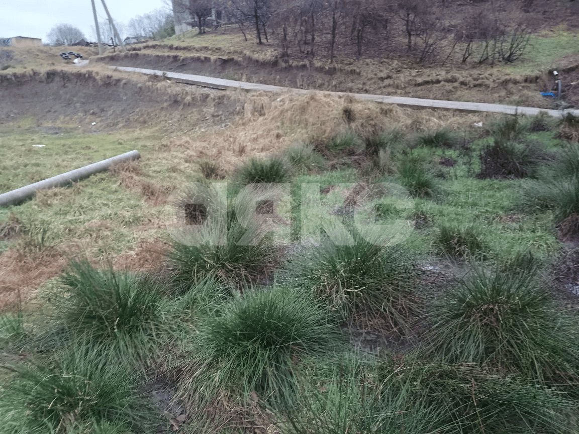 Фото №5: Участок садоводство 6 сот. - Верхний Юрт, р. Хостинский, пер. Грушевый