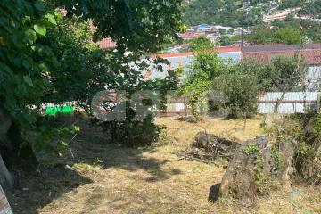 Фото №4: Земельный участок под ИЖС - Барановка (Хостинский район), счт Монтажник, 