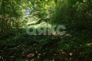 Фото №3: Участок садоводство - Пластунка, счт Ампер, 438