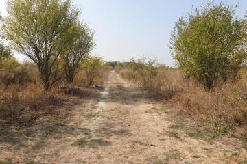 Фото №4: Коммерция 6 м² - Восход, ул. Малиновая, 29