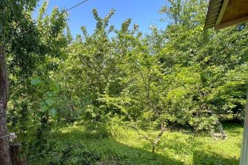 Фото №2: Земельный участок 4 сот. - Краснодар, ст КНИИСХ, ул. Ореховая, 46