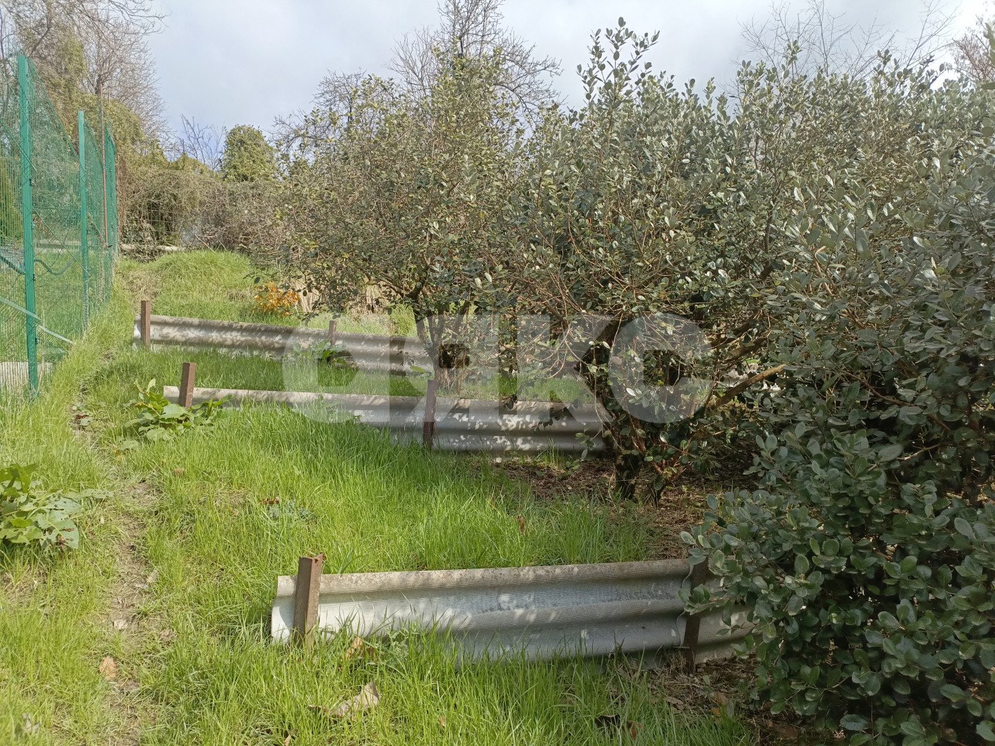 Фото №3: Личное подсобное хозяйство 10 сот. - Беранда, р. Лазаревский, ул. Араратская