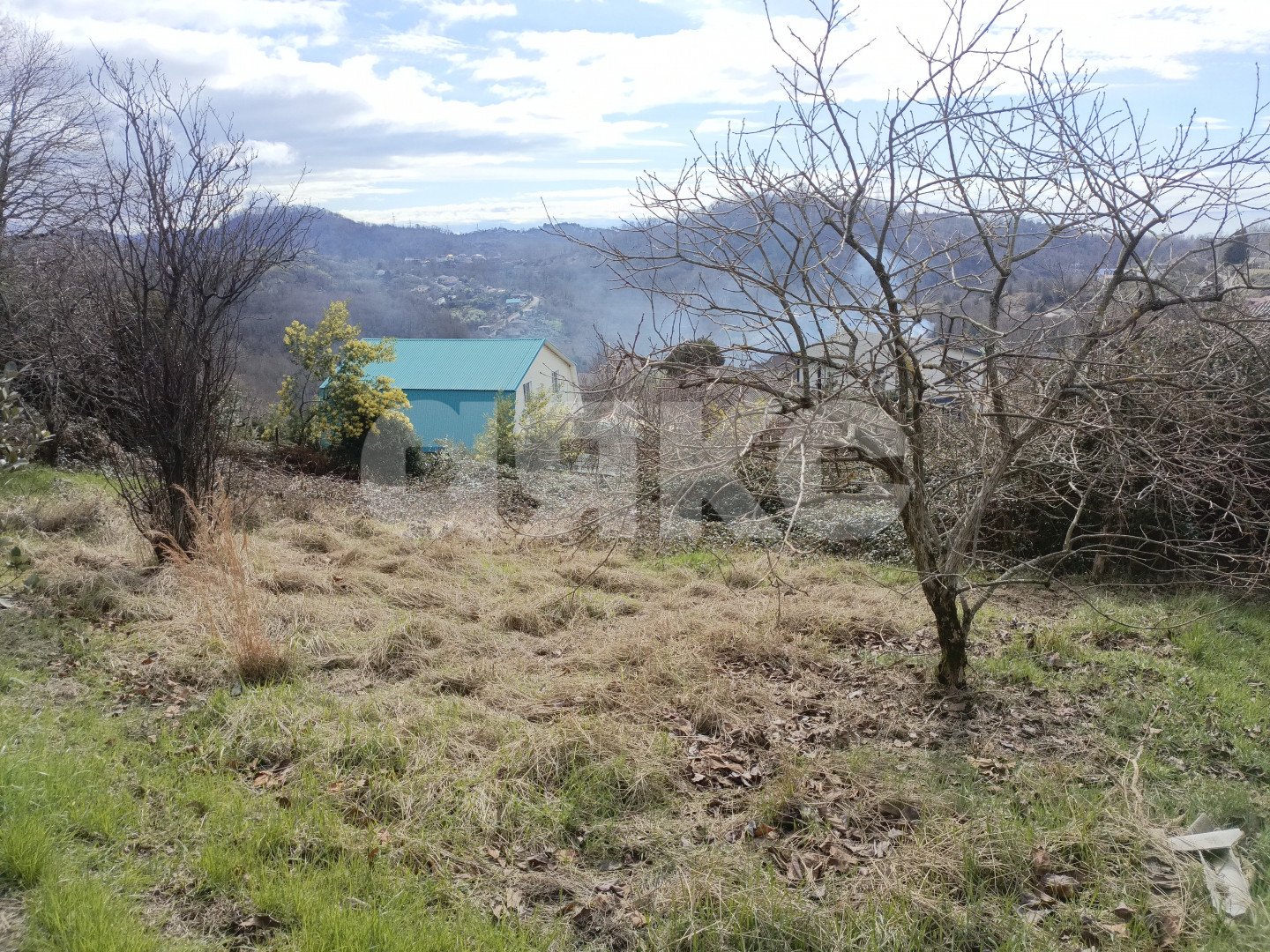 Фото №4: Личное подсобное хозяйство 10 сот. - Беранда, р. Лазаревский, ул. Араратская