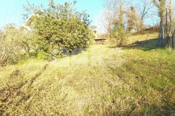 Фото №3: Земельный участок под ИЖС - Раздольное, р. Хостинский, ул. Ветеринарная, 3