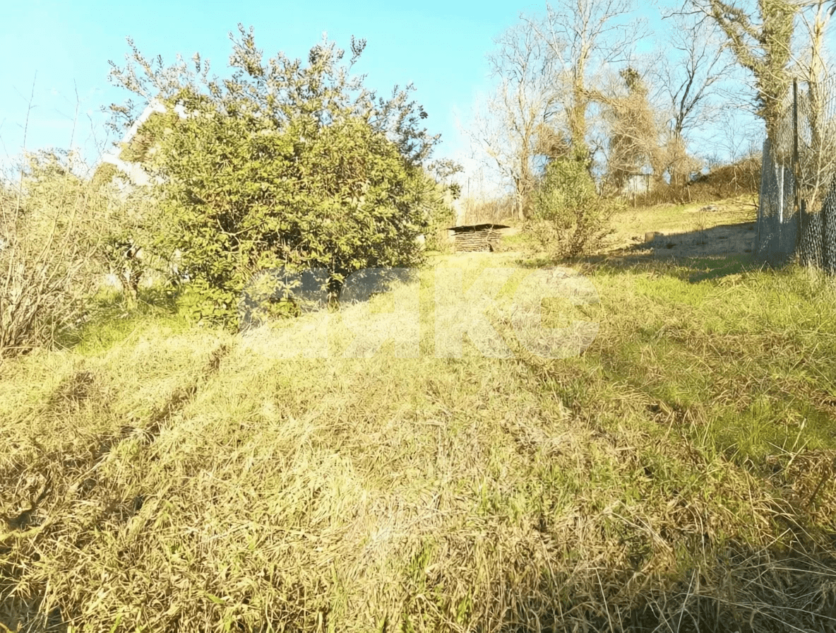 Фото №3: Земельный участок под ИЖС 5.76 сот. - Раздольное, р. Хостинский, ул. Ветеринарная, 3