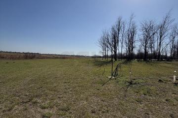 Фото №4: Земельный участок 27.3 сот. - Большевик, ул. Полевая, 8