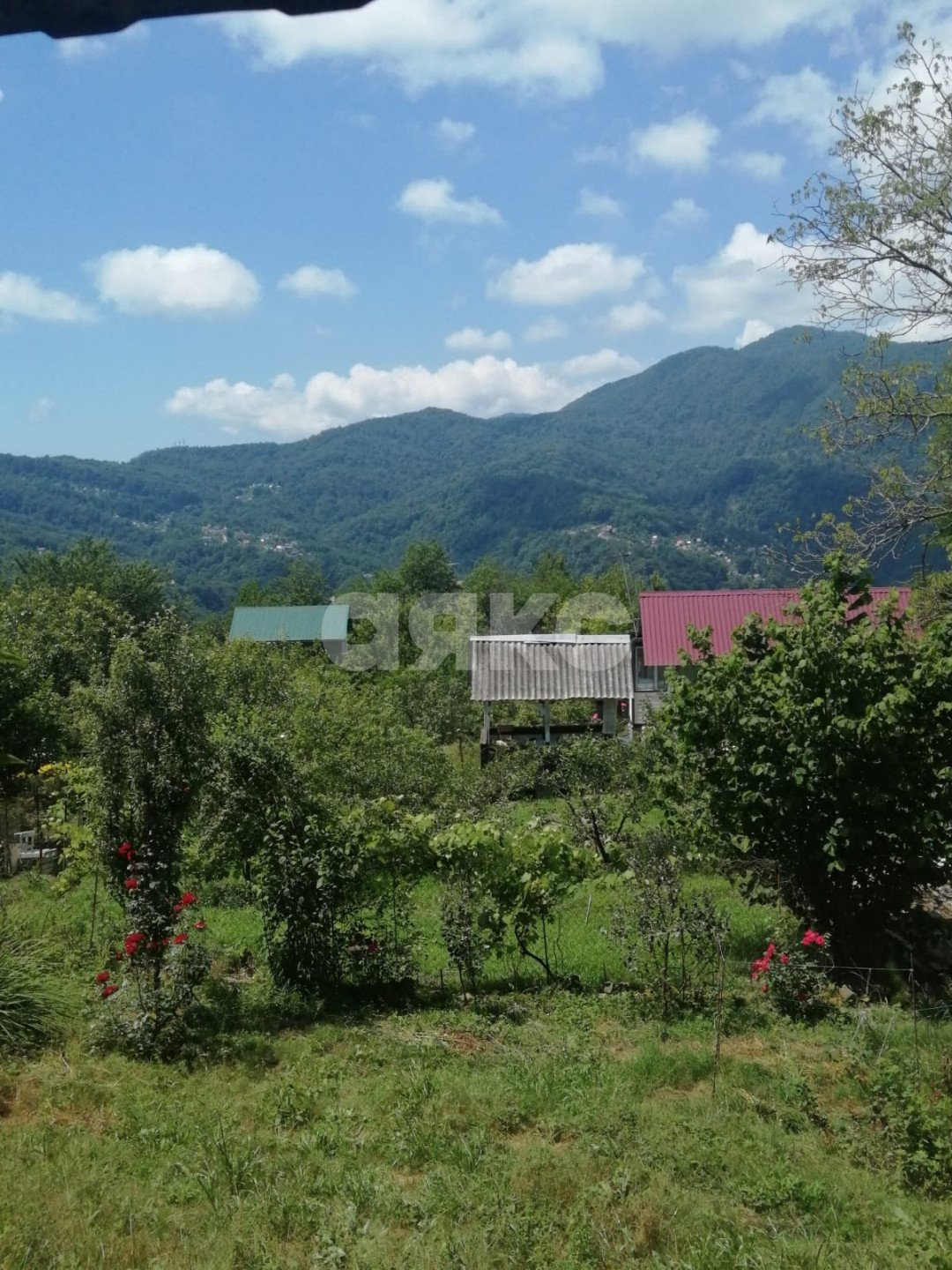 Фото №3: Участок садоводство 5.16 сот. - Пластунка, Хостинский, счт Заря-Пластунка, 28