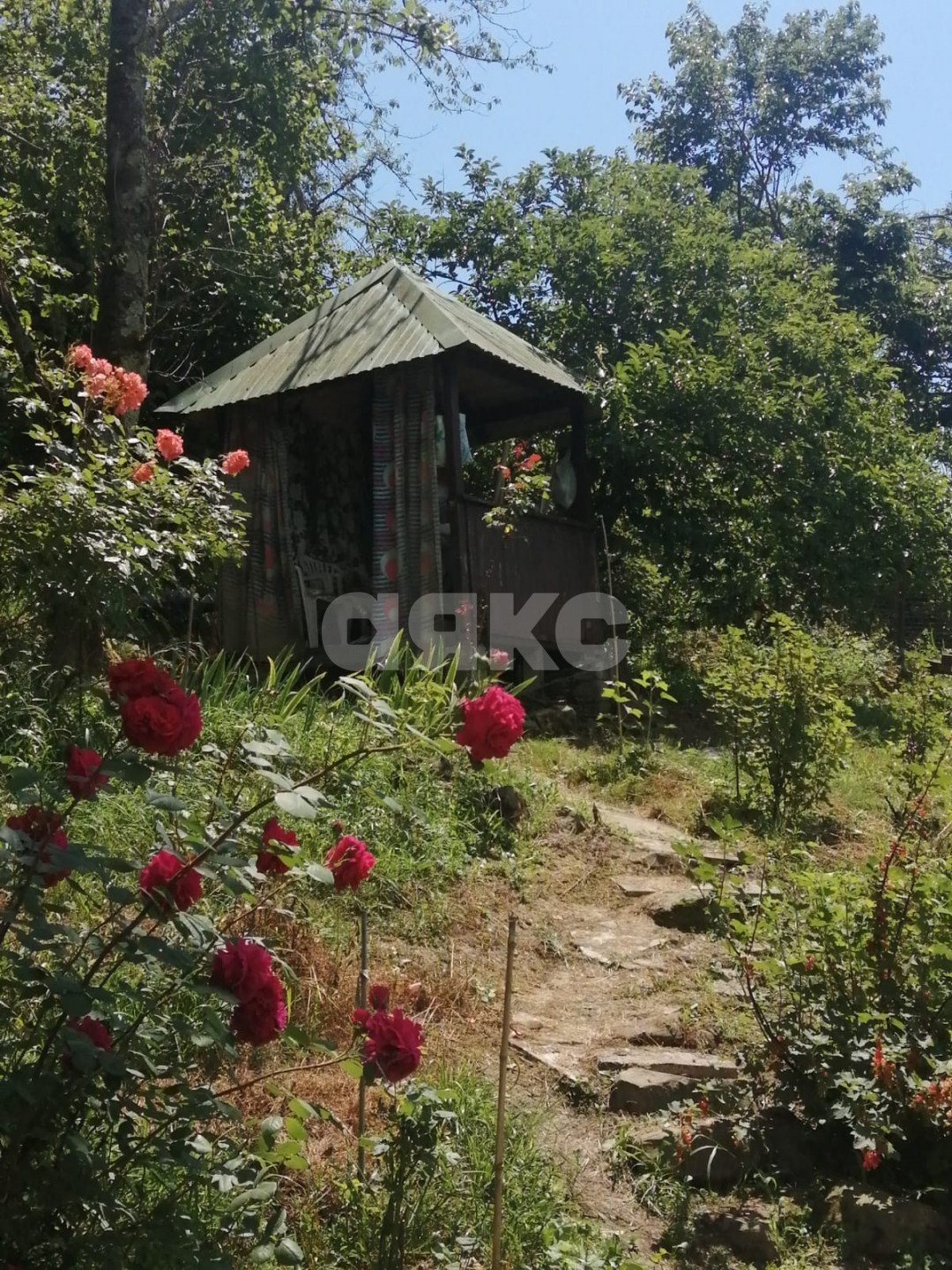 Фото №1: Участок садоводство 5.16 сот. - Пластунка, Хостинский, счт Заря-Пластунка, 28