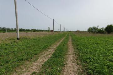 Фото №4: Земельный участок 10 сот. - Старокорсунская, мкр. Карасунский внутригородской округ, пер. 2-й Семейный, 1/1