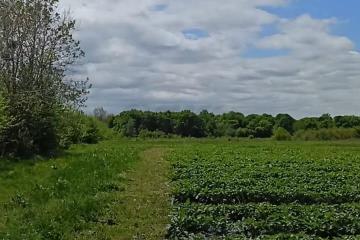 Фото №3: Коммерция 220 м² - Краснодарский край Апшеронский район