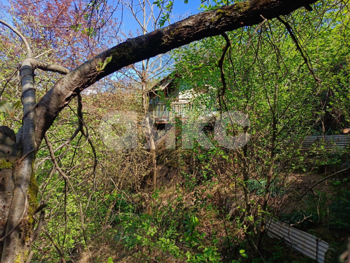 Фото №12: Участок садоводство 6.91 сот. - Пластунка, Хостинский, счт Отель